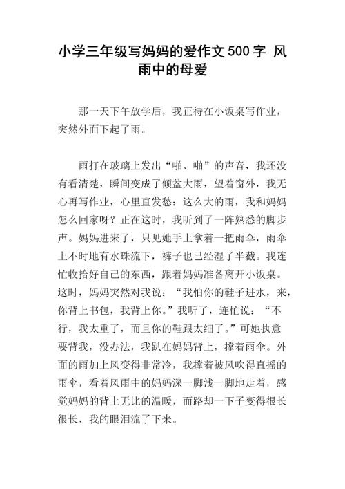 母亲的爱情作文500字