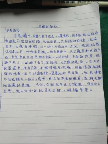 宠物家庭阅读后的350个单词