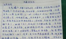 宠物一家亲读后感350字