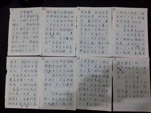 对学生作文的启示