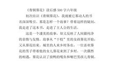 青铜葵花读后感900字