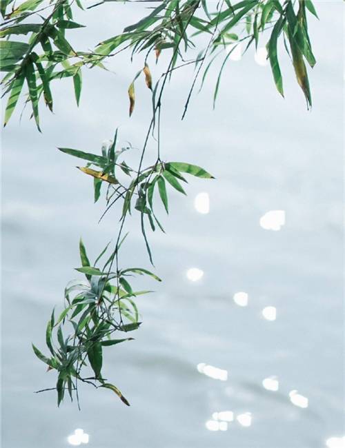 林庆轩看完书后