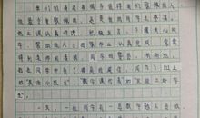 给我一个什么作文