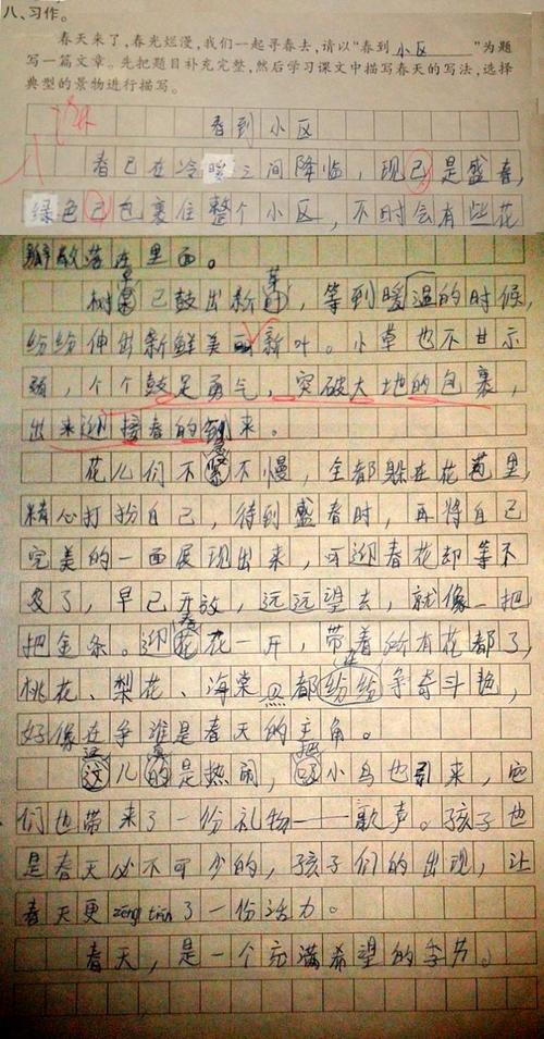 母亲的爱情作文600字