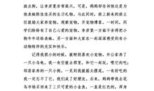 宠物一家亲读后感400字