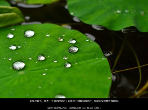 一切都发展了之后