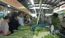 菜市场见闻作文