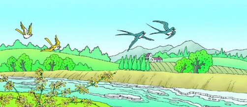 美丽的小河组成