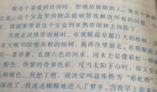 集体的温暖作文