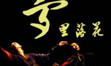 再看《梦里花落知多少》