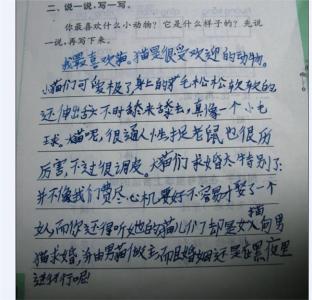 追求梦想作文400字
