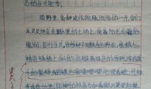 夏天的晚上作文