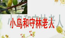 小鸟和守林老人读后感