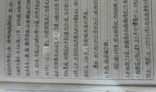 追求让梦想花开作文