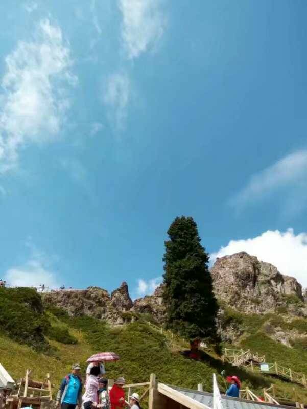 美丽的天山组成