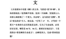 其实你不懂我的心作文600字
