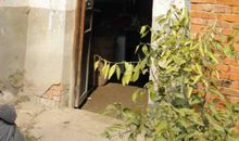 回家真好小学作文