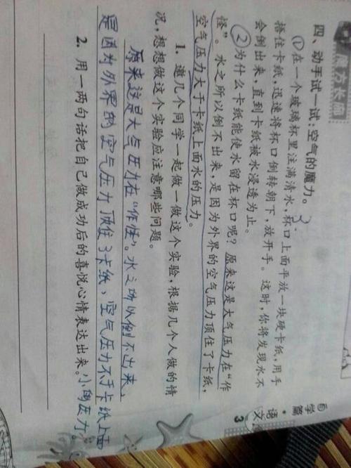 成功的喜悦300字