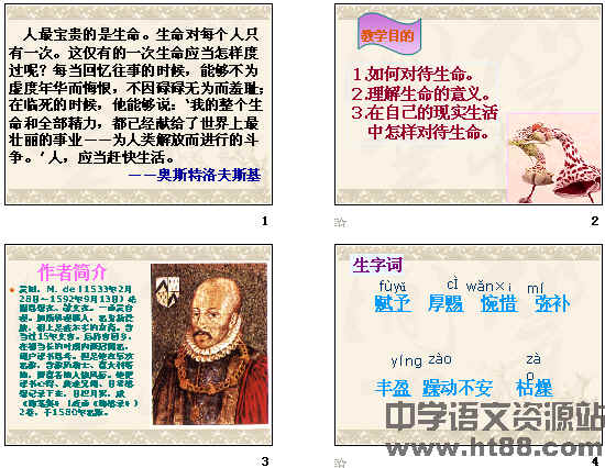 看完1000后就热爱生活