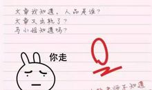 其实我不懂作文