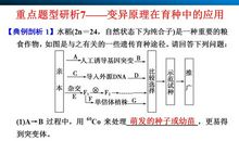 2014年高考满分作文安徽卷：缤纷色彩源自“特殊结构”