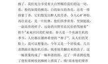 爸爸的手作文400字