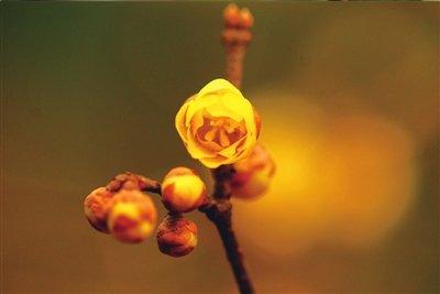 理想国家的感觉