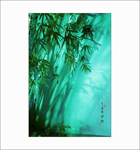 看完竹片后的感想