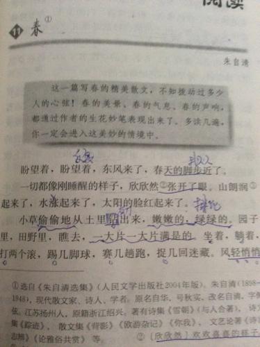 描述苹果的成分