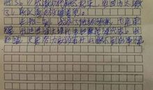 我得到了表扬作文