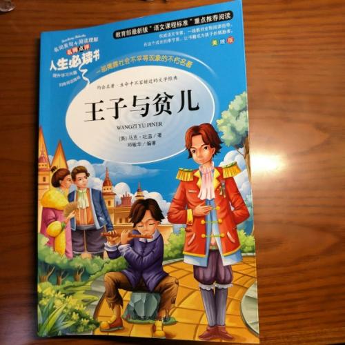 王子也是个可怜的孩子