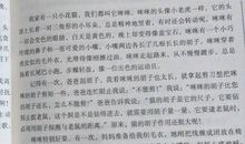 名人的魅力作文