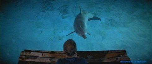 蓝海和蓝天电影评论