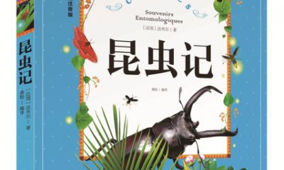 阅读背叛了孩子的孩子后的500个单词