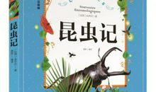 出卖笑的孩子读后感500字