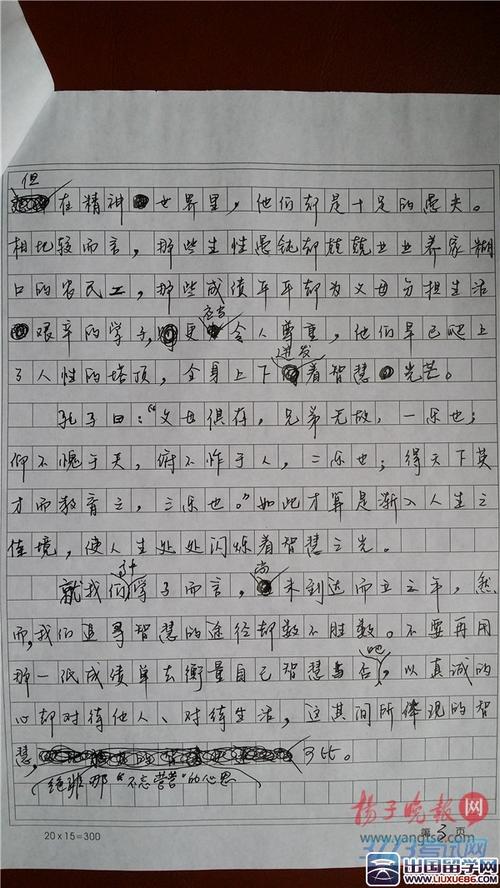 2014年高考满分作文安徽试卷：一切始于现实