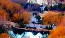 大明湖之春读后感