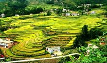 2014年高考满分作文湖南卷：心灵的仙境