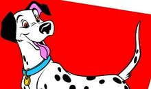 两只小花狗作文