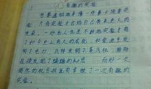 初一作文我爱我家