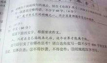 2013年高考满分作文江苏卷：一“石”激起千层浪