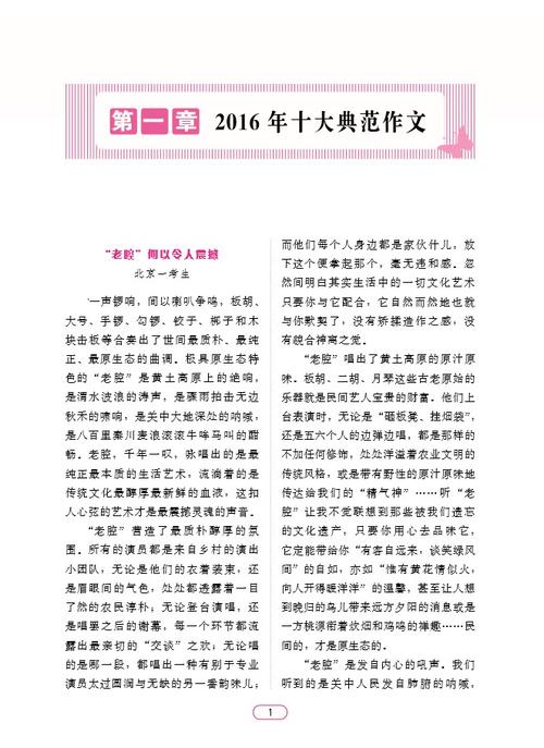 2013年高考全场作文江苏试卷：安然飞行相对安全