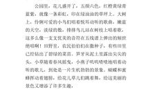 我爱你汉字小学作文