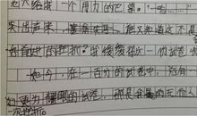 半命题作文什么征服了我