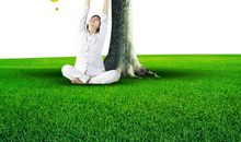 放飞绿色梦想作文