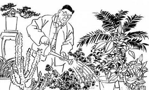 看完老舍的作品