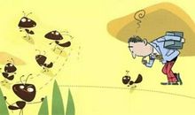 蚂蚁搬食的启示作文