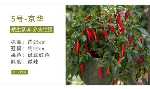 看完工厂可以说话