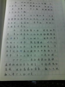 母爱叙事作文800字