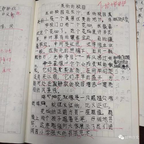 迷人的校园构成